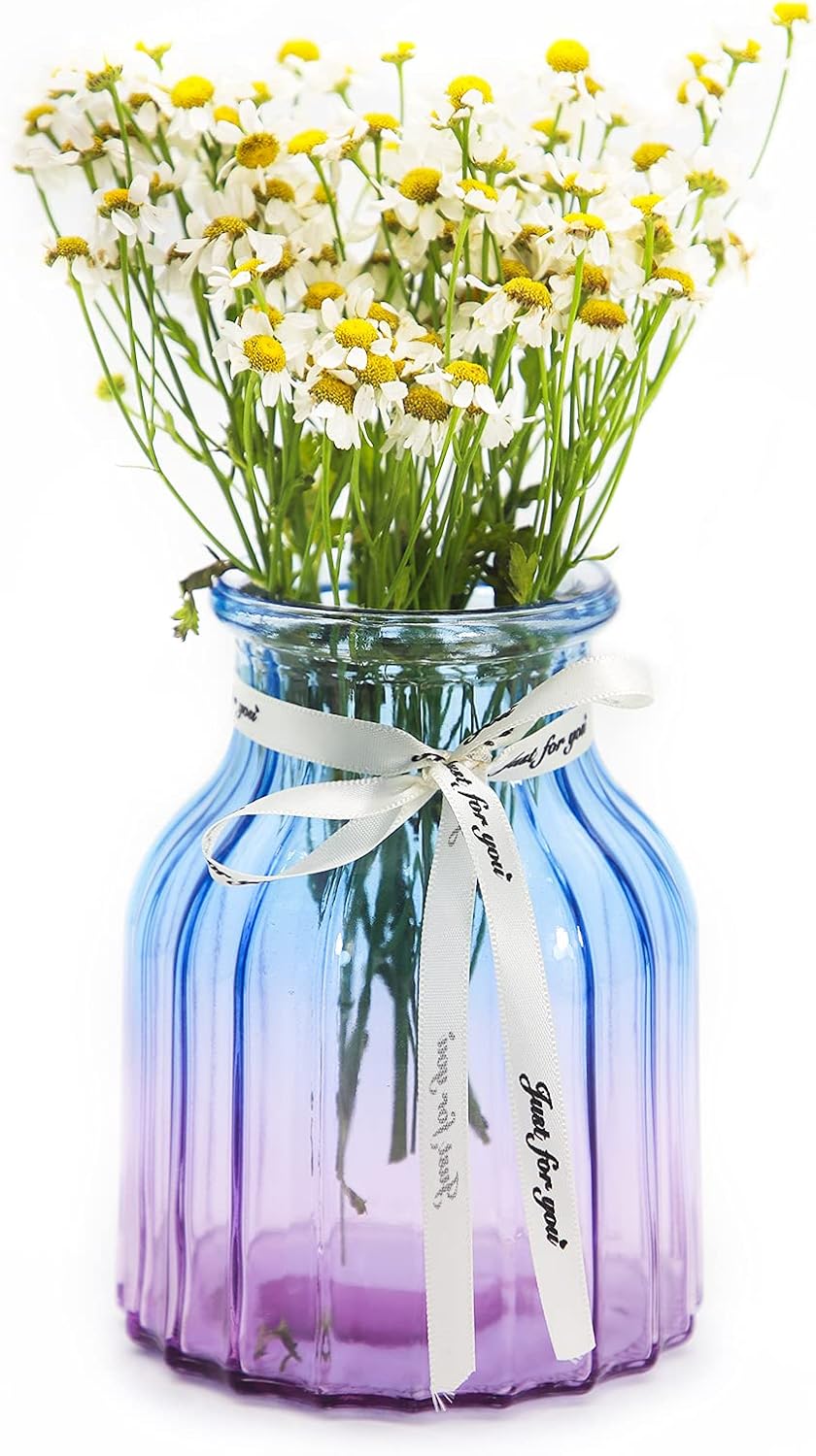 Vase for Flowers Small Glass Vases for Home Decor Table Centerpieces Living Room Bedroom Bookshelf Kitchen Modern Office Wedding Decoration Vintage Flower Vases Red White