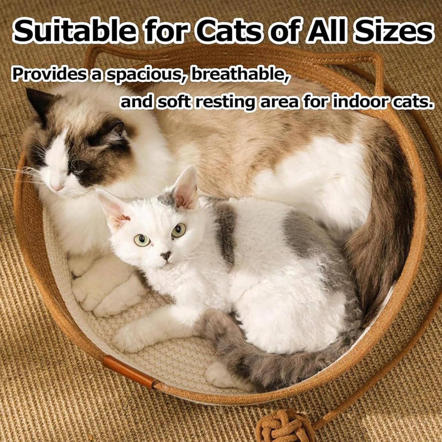 aede5369-2e0e-494c-b7ff-675520e8a6f2